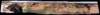 panochelley4204_small.jpg