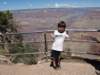 _8193753_small.jpg