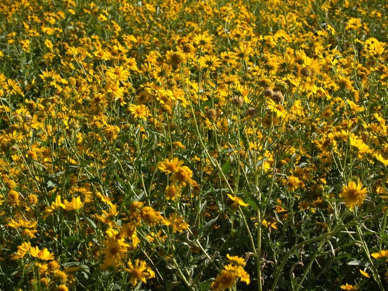 photo6.jpg