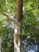 _8193706_small.jpg