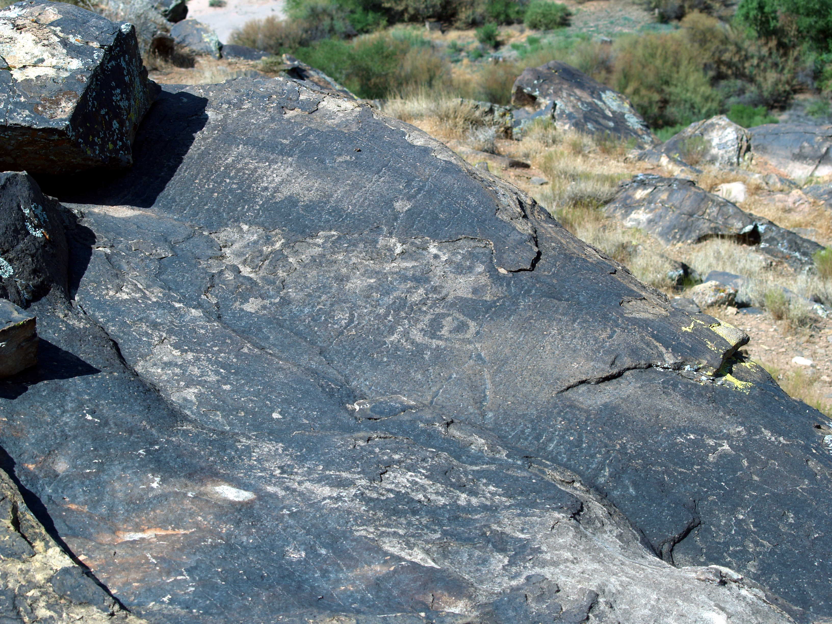 petro8081116_1174.jpg