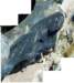 petro8081116_117432_34merged_small.jpg