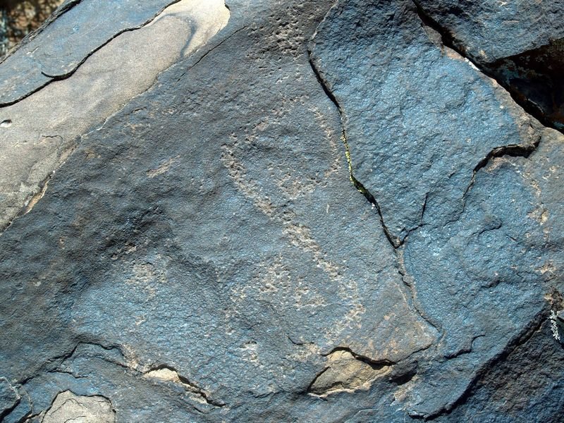 petro8081116_117438.jpg