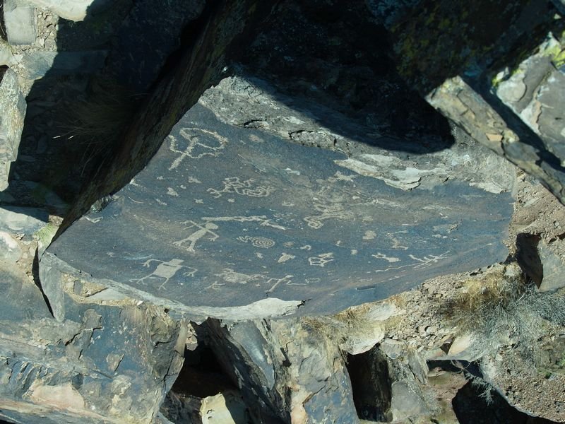 petro8081116_117455.jpg