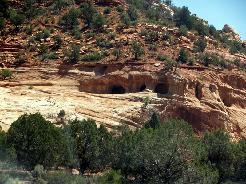 photo.jpg