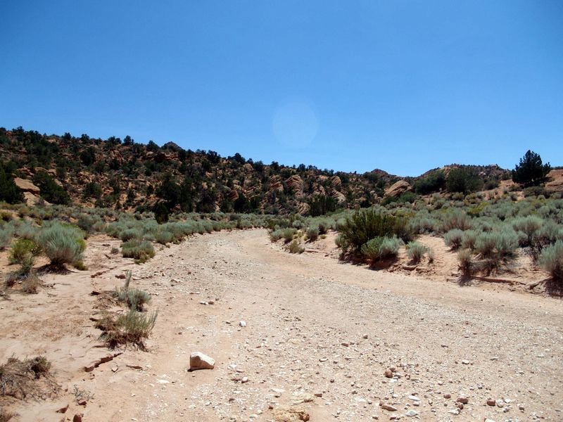 photo25.jpg