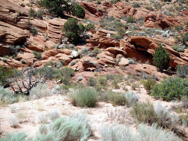 photo29.jpg