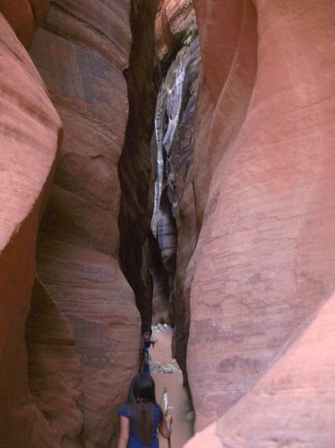 photo85.jpg