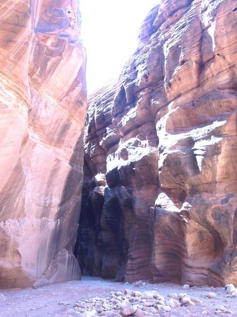 photo98.jpg