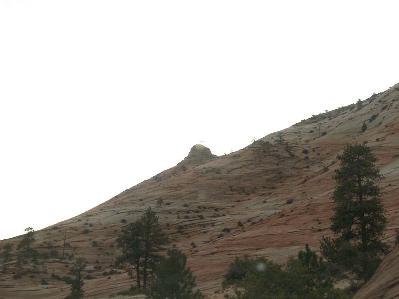 photo13.jpg